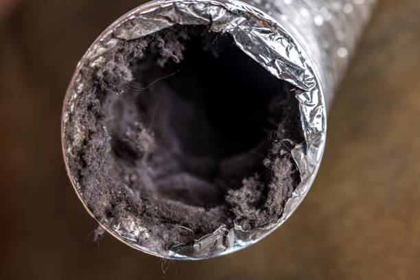 Best HVAC Duct Inspection Services  in Knox, IN