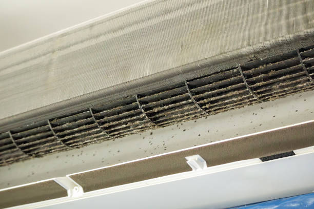 Best Air Duct Cleaning Near Me  in Knox, IN